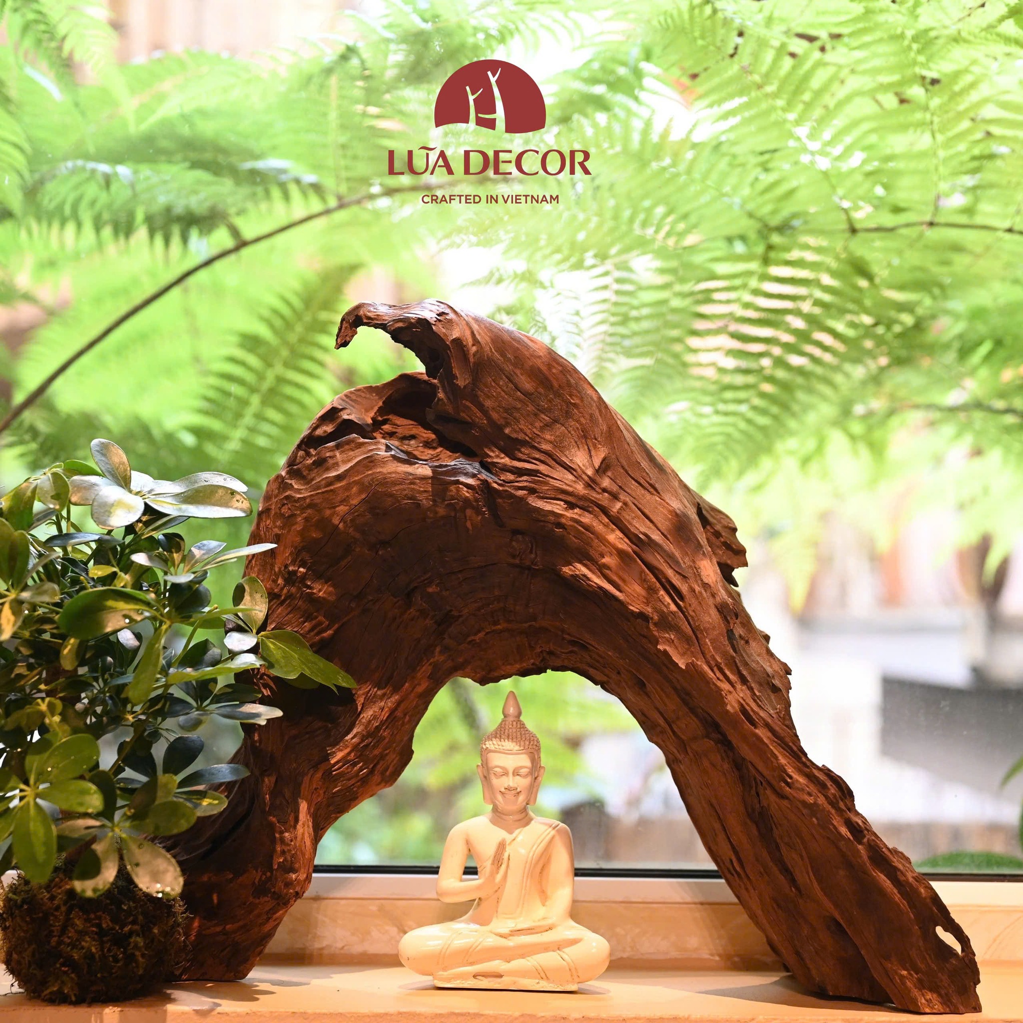 Một tiểu cảnh tại Lũa Decor gồm lũa Ngọc Am nguyên bản, cây Kokedama và tượng decor an nhiên