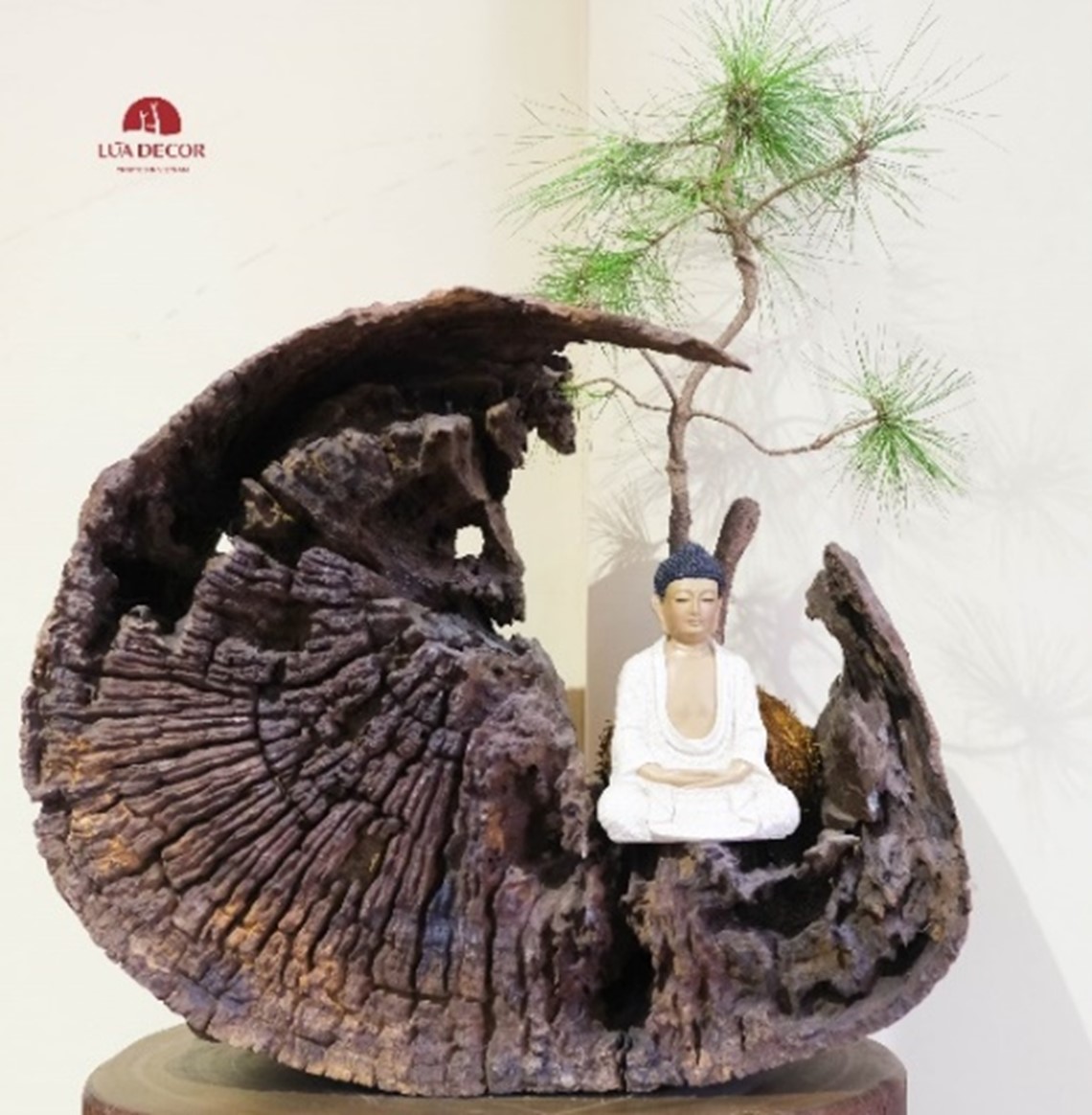 Tiểu cảnh thiền kết hợp giữa khối lũa trai lí, cây thông và tượng Phật