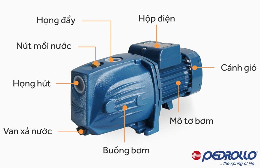 Cấu tạo máy bơm hút chân không đẩy cao Pedrollo JSWm 1AX