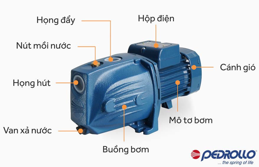 Cấu tạo máy bơm hút chân không đẩy cao Pedrollo JSWm 1BX