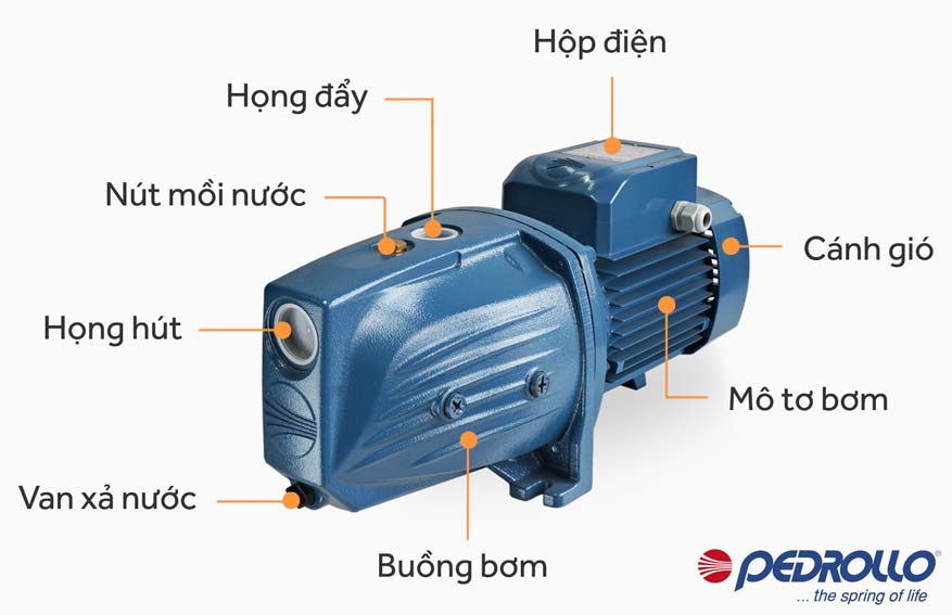 Cấu tạo máy bơm hút chân không đẩy cao Pedrollo JSWm 3CL