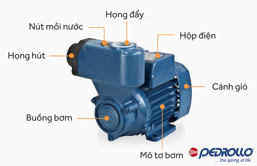 Cấu tạo máy bơm hút chân không đẩy cao Pedrollo PKSm 60