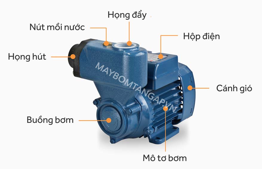 Cấu tạo máy bơm hút chân không đẩy cao Pedrollo PKSm 80