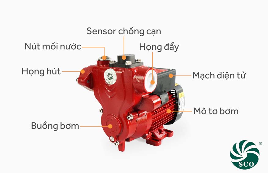 Cấu tạo máy bơm hút chân không đẩy cao SCO 200MA