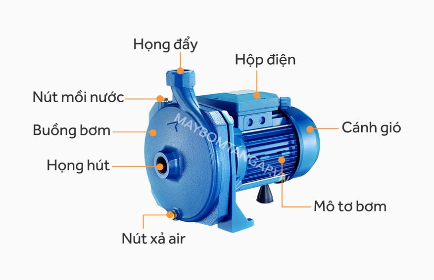 Cấu tạo máy bơm ly tâm đẩy cao Penstar CM 100