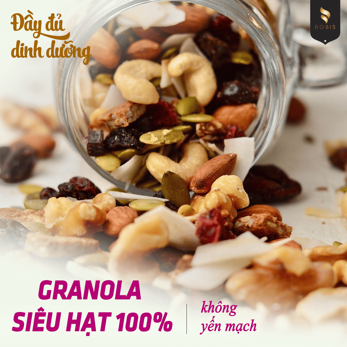 Granola siêu hạt 100 ngũ cốc dinh dưỡng NGUYỄN PHÚ CƯỜNG