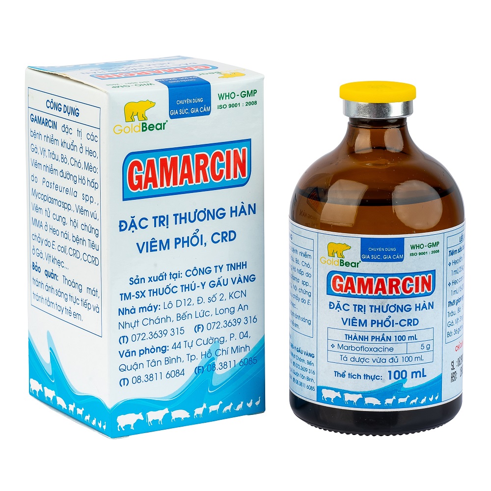 Rx-GAMARCIN  (100 ML/LỌ)-Thuốc kê đơn