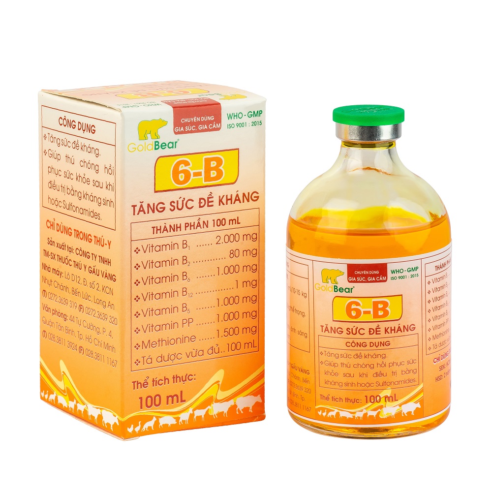6-B (100 ML/LỌ)