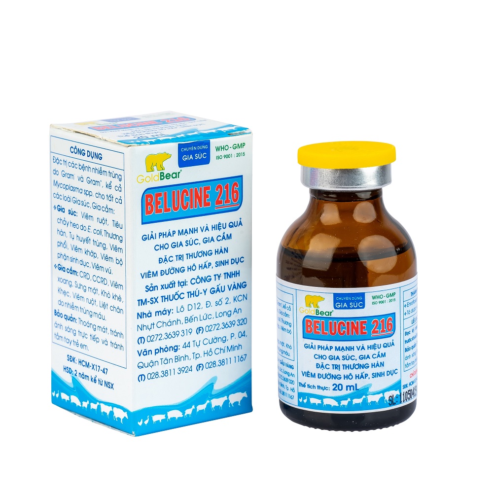 Rx-BELUCIN 216 (20 ML/LỌ)-Thuốc kê đơn