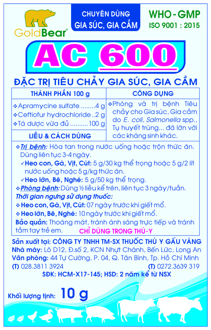 Rx-AC 600 (10 G/GÓI)-Thuốc kê đơn