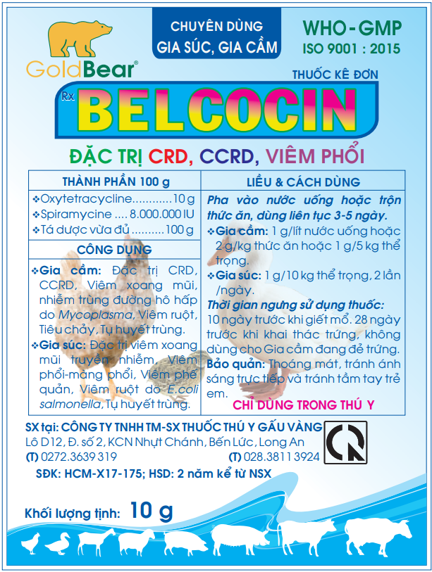 BELCOCIN 10G/GÓI (Thuốc kê đơn)