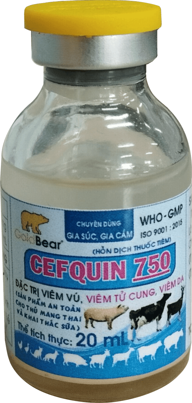 Rx-CEFQUIN 750 (20 ML/LỌ)-Thuốc kê đơn