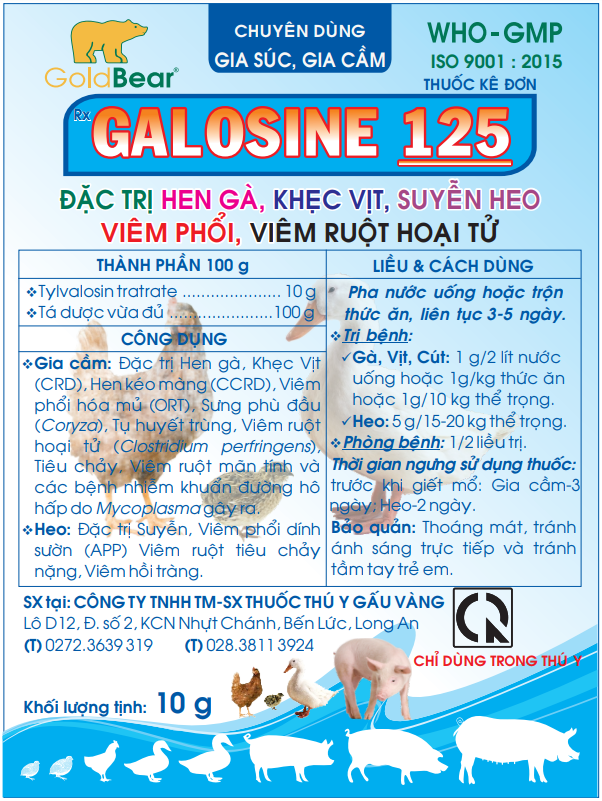 GALOSINE 125 (10 G/GÓI)-Thuốc kê đơn