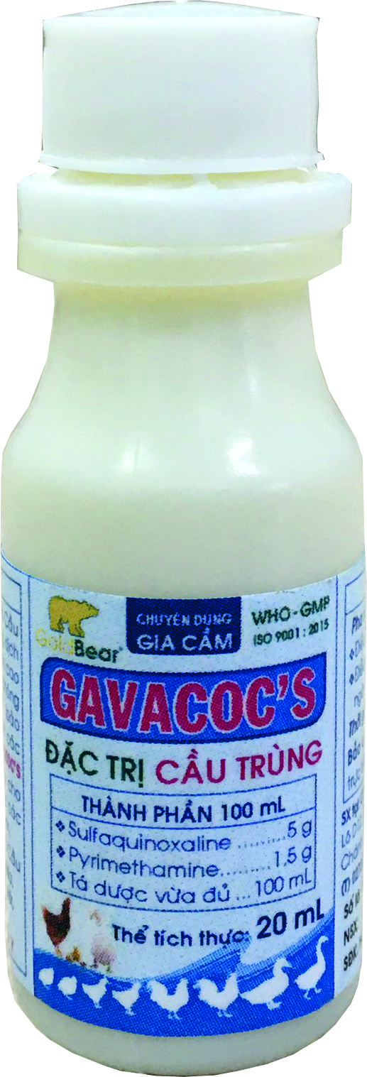 GAVACOC'S (20 ML/LỌ)
