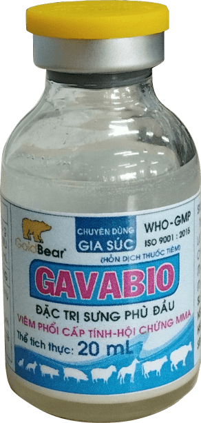 Rx-GAVABIO (20 ML/LỌ)-Thuốc kê đơn