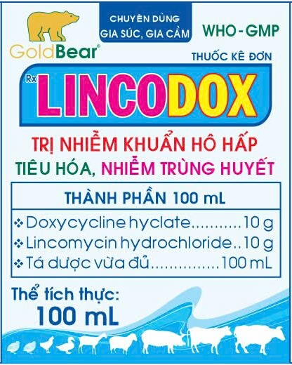 LINCODOX 100ML/LỌ
