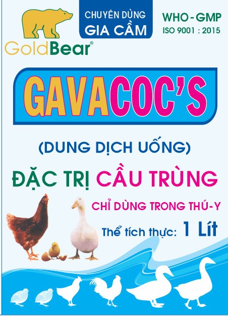 GAVACOC'S 1LÍT/CAN