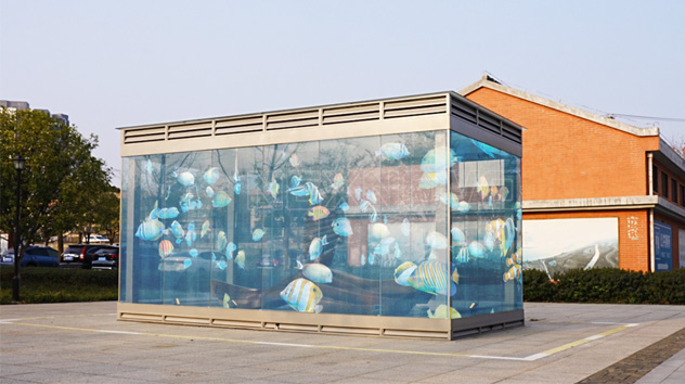 TẠO CƠN SỐT DIGITAL MARKETING CHO MÀN HÌNH LED LINH HOẠT