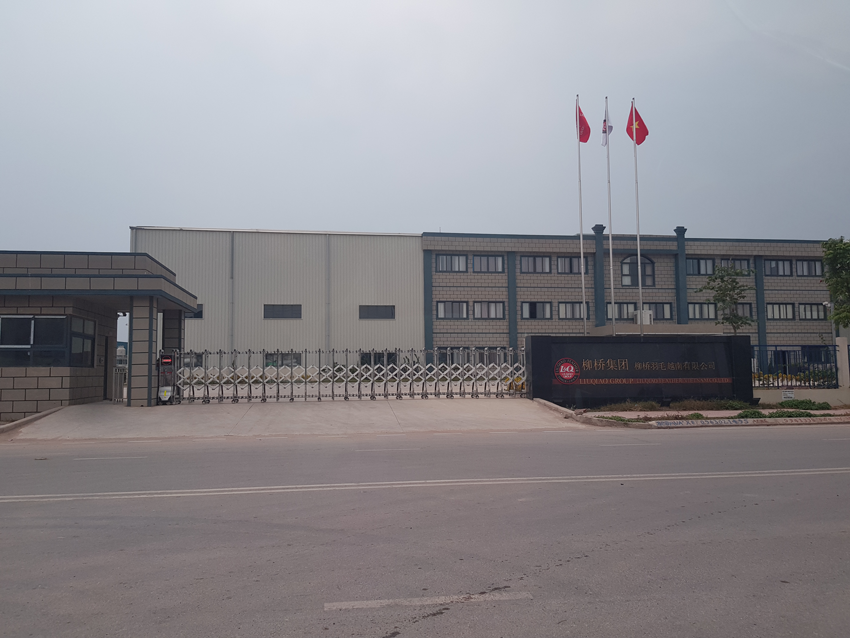 Công ty TNHH Liuqiao Feather VN