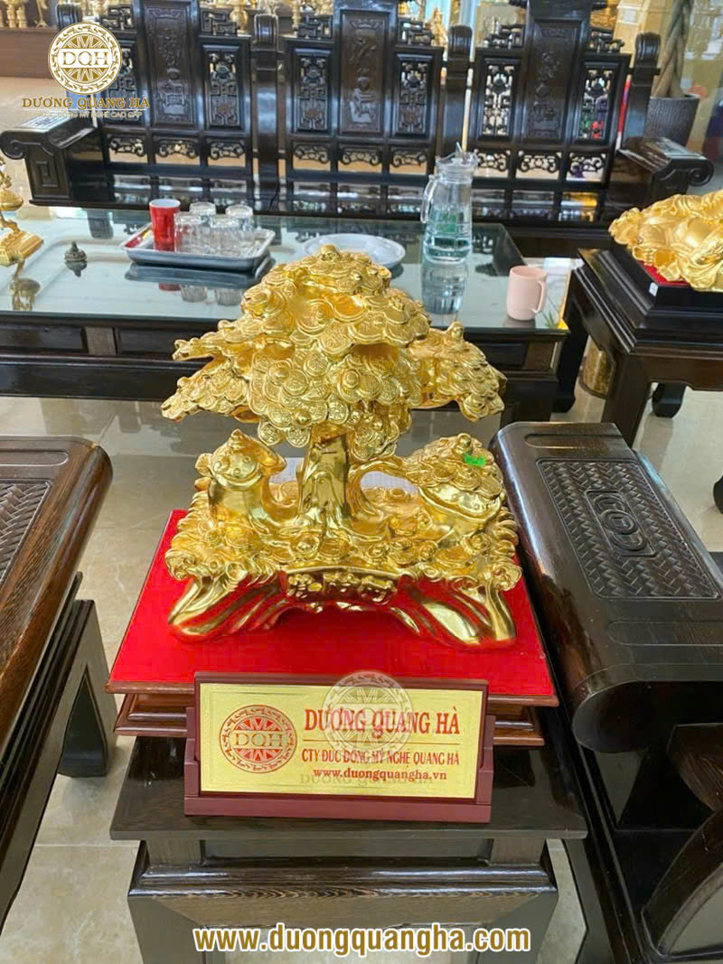 Cây tiền tài lộc: Ý nghĩa, cách bài trí và lưu ý khi sử dụng