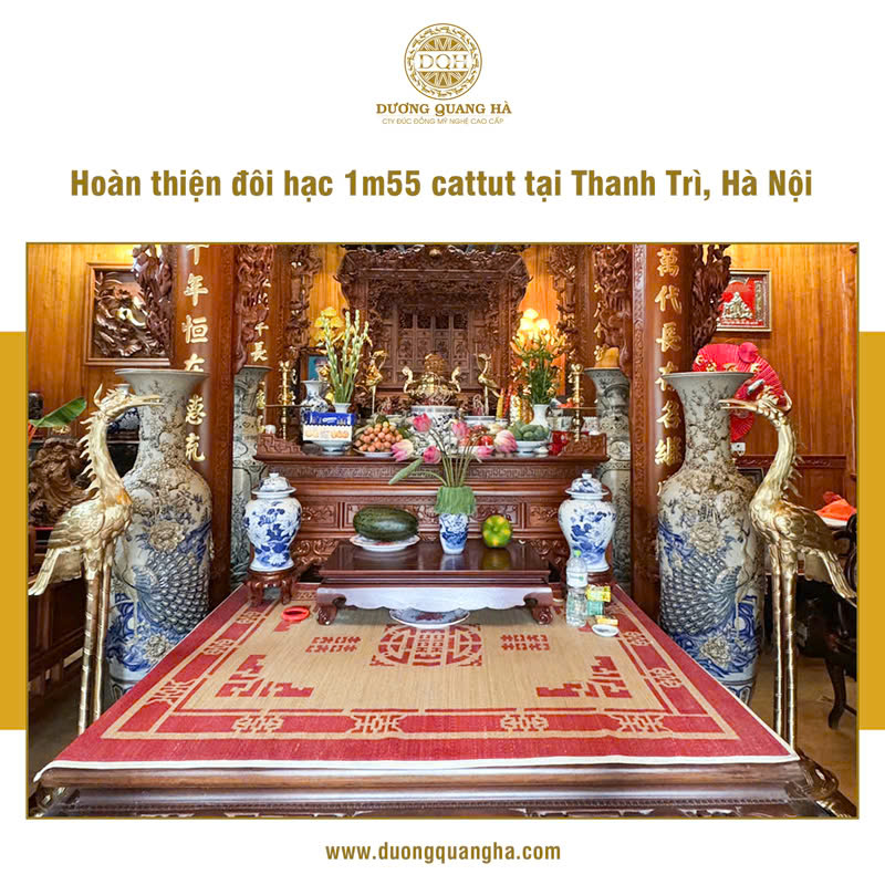 LẮP ĐẶT ĐÔI HẠC ĐỒNG CATTUT CHO KHÁCH HÀNG TẠI THANH TRÌ, HÀ NỘI