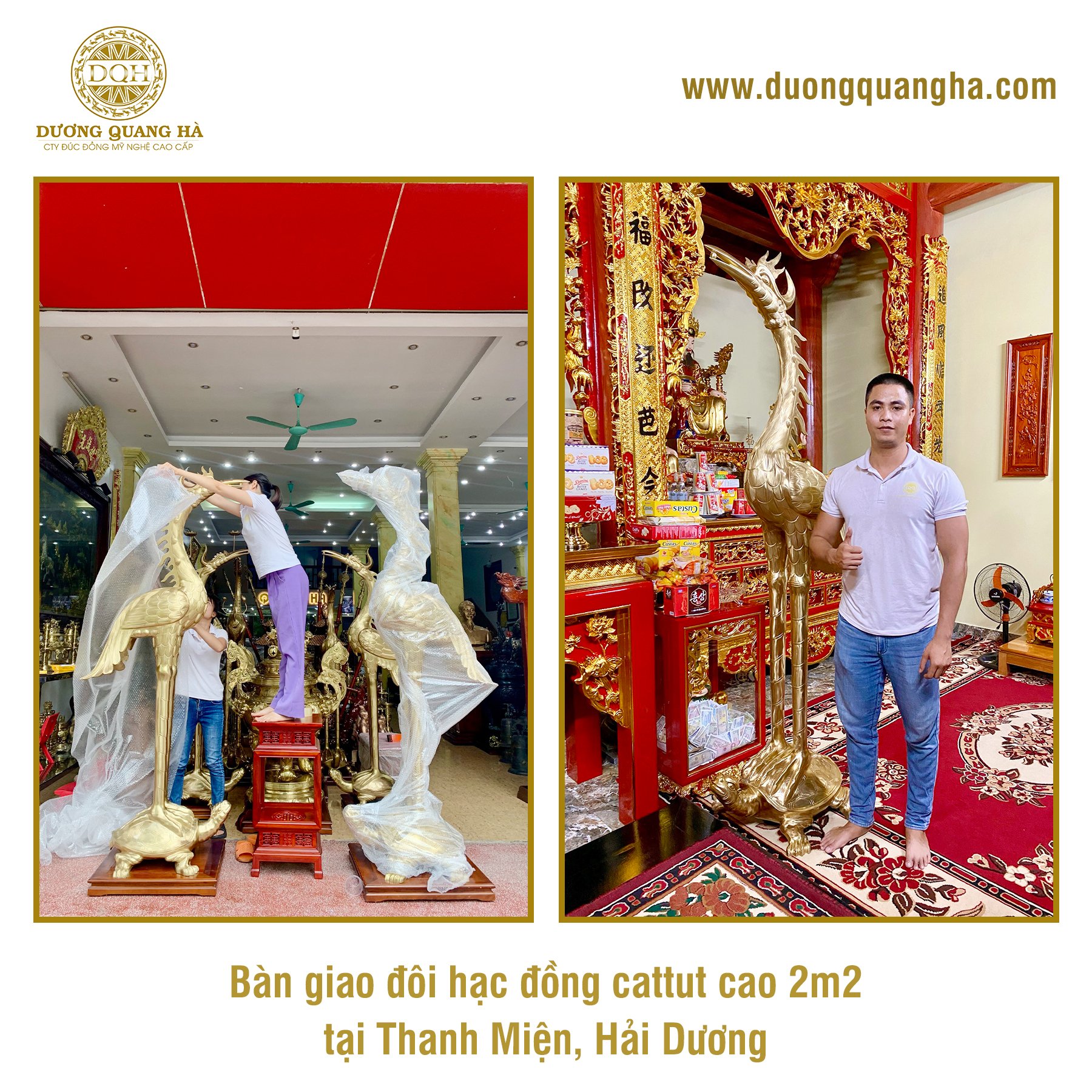 BÀN GIAO VÀ LẮP ĐẶT ĐÔI HẠC ĐỒNG CATTUT CHO KHÁCH HÀNG TẠI THANH MIỆN, HẢI DƯƠNG