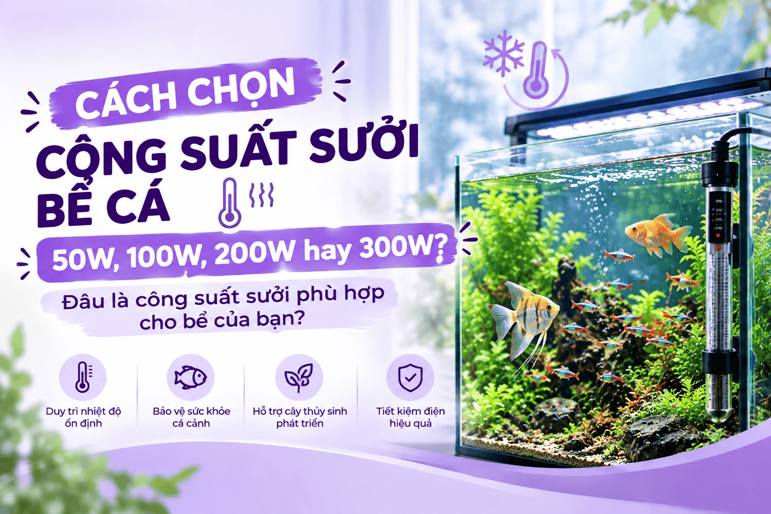 Cách chọn công suất sưởi bể cá: 50W, 100W, 200W hay 300W? Đâu là công suất sưởi phù hợp cho bể của bạn?