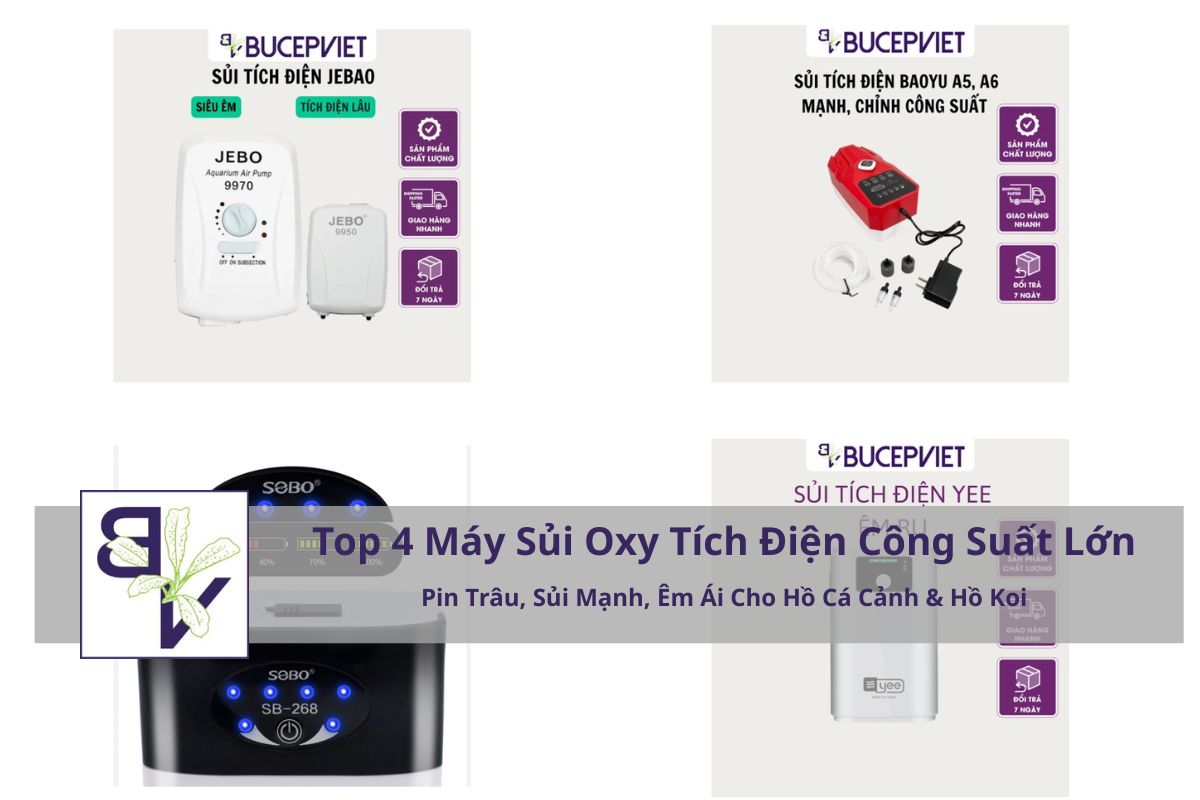 Bảng So Sánh Nhanh – Top 4 Máy Sủi Oxy Tích Điện Công Suất Lớn