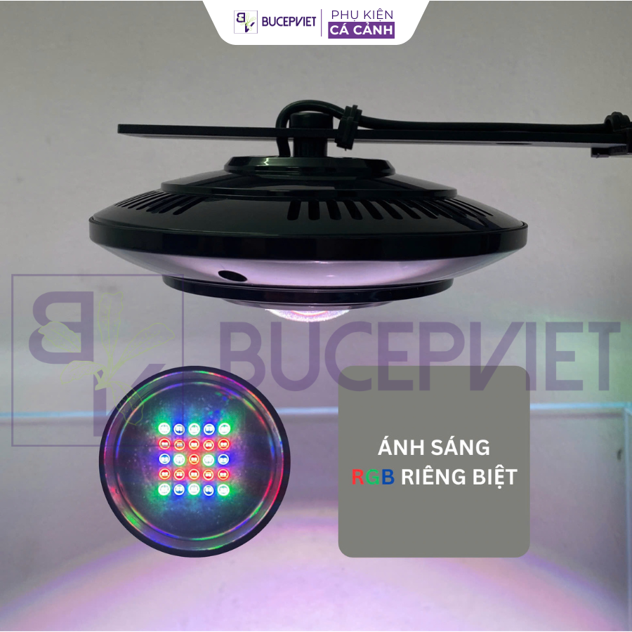 UFO Mini RGB 50W thực tế trên hồ Nano - 2
