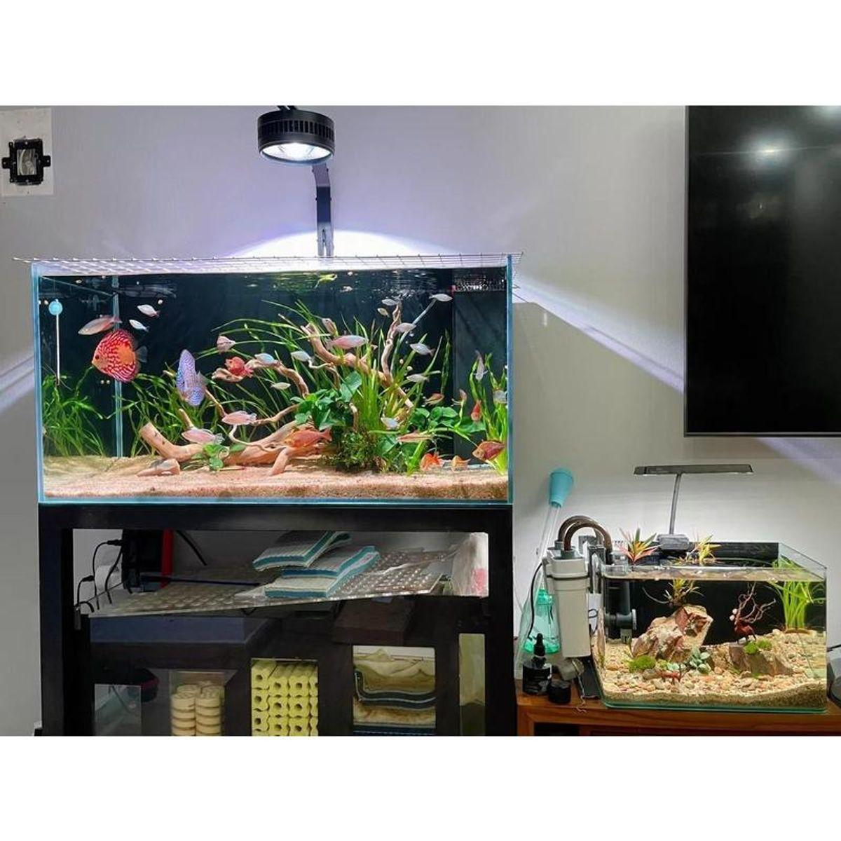 Tại sao nên chọn Zaqua A60 cho bể cá cảnh cao cấp: Dễ lắp đặt – bền bỉ theo thời gian, Phù hợp cho nhiều loại bể, Thiết kế thân lớn – tản nhiệt hiệu quả, Ánh sáng mạnh, hiển thị màu chân thực