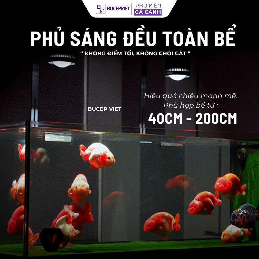 Thông số kỹ thuật Mayin Super Color 100W - 1