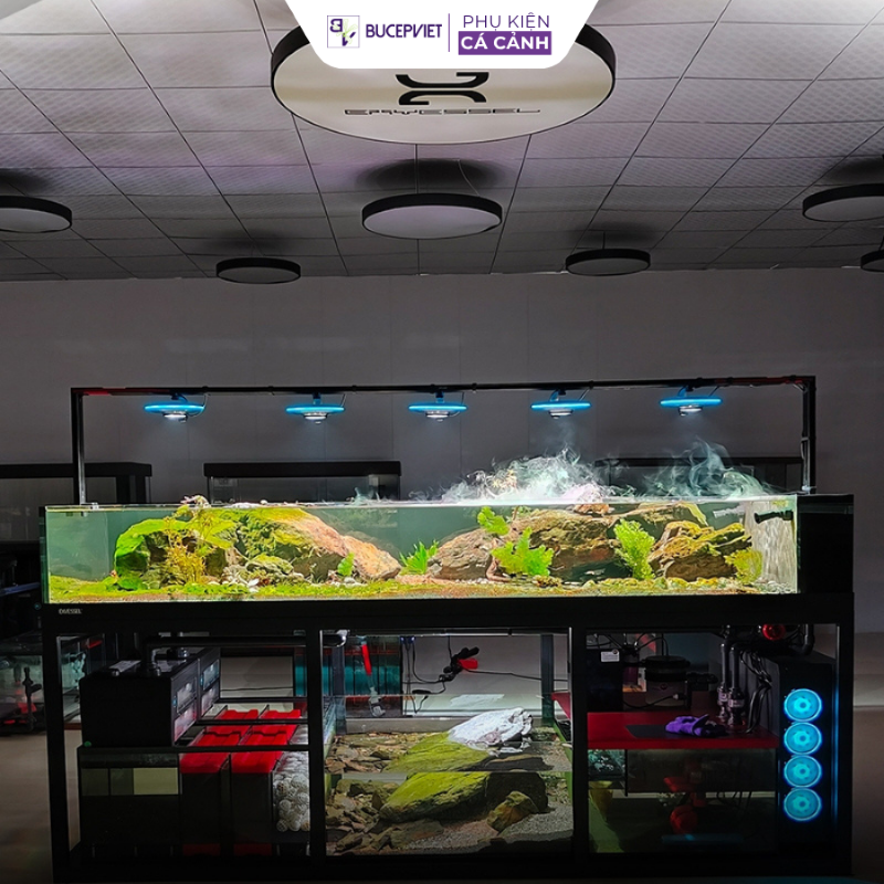 Đèn Zetlight UFO Pro Max F8 lắp thực tế trên bể
