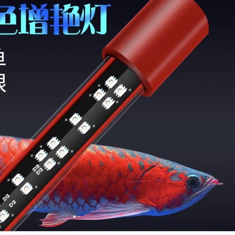 Đèn MAYIN Super Colour Mẫu Phụ Kiện Thủy Sinh với Thiết kế dạng chìm cao cấp – An toàn và bền bỉ