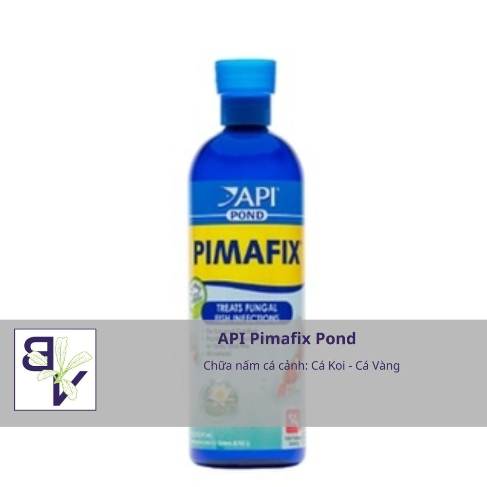 API Pimafix Pond chữa nấm cá cảnh cho bể thủy sinh, cá vàng, cá Koi