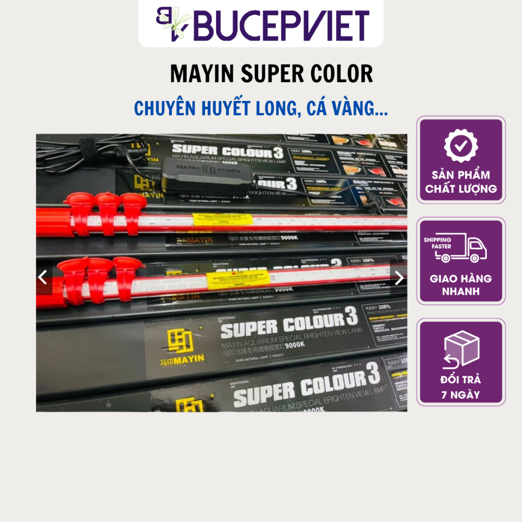 Đèn MAYIN Super Colour - Đèn Thủy Sinh Thế Hệ 3 Ánh Sáng Nổi Bật Cá Rồng, Cá Vàng, Cá Chép Đủ Kích Thước