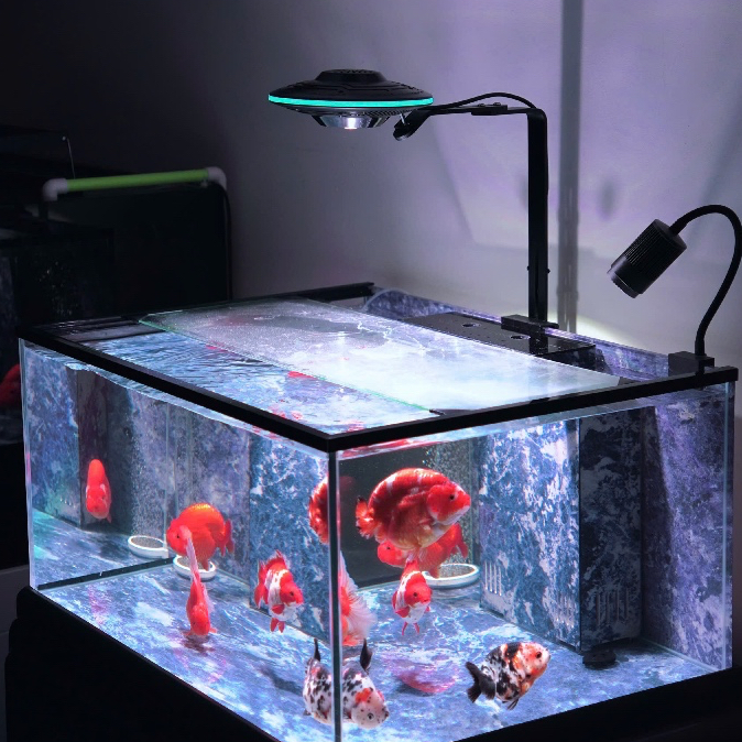 UFO Langzu lắp trên hồ thủy sinh 2