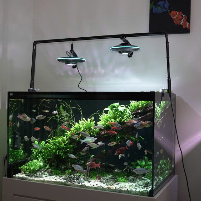 UFO LangZu LZ-800 chiếu rọi hồ Biotope cá Ali - 2