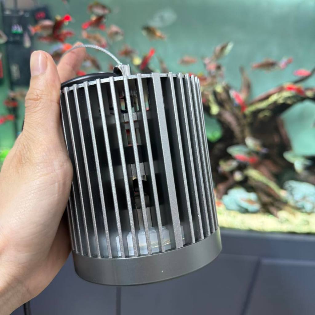 Magic Super Color 100W thực tế - 1