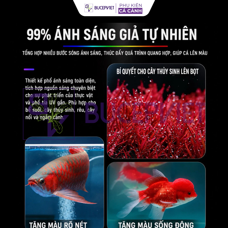Thông số kỹ thuật UFO Baoyu WRGB - 2