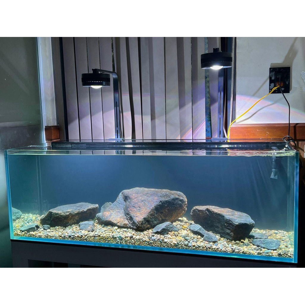 Love Ecology RGB lắp thực tế trên hồ - 1