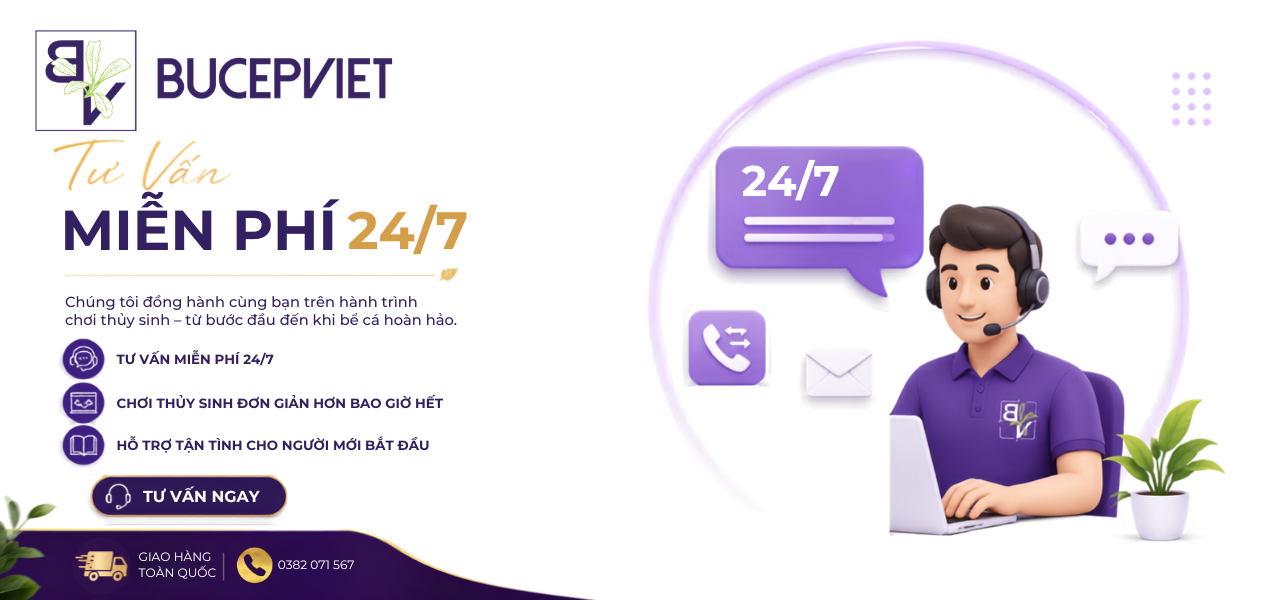 Tư vấn<br>miễn phí 24/7