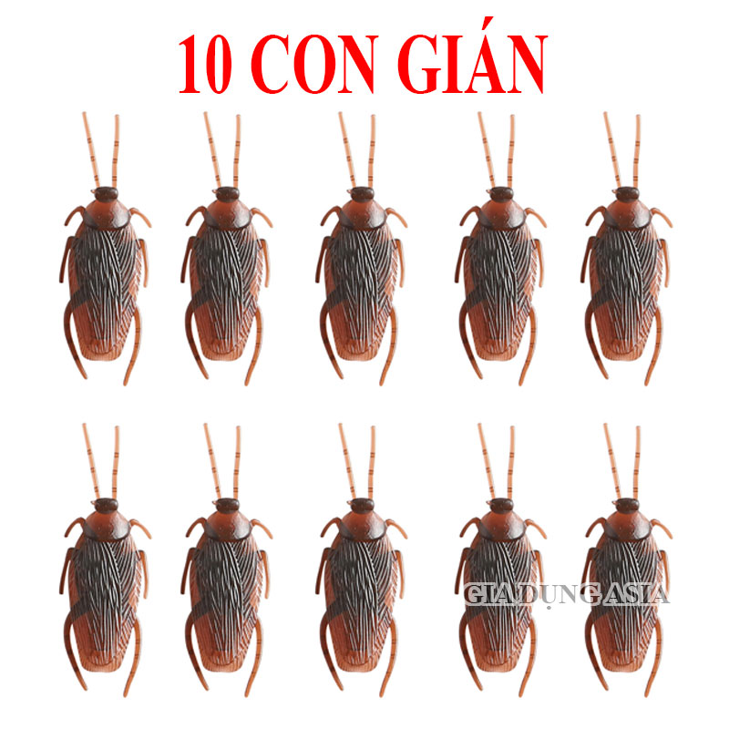 Combo 10 côn trùng gián hoặc rết - Đồ chơi mô phỏng gián bằng nhựa