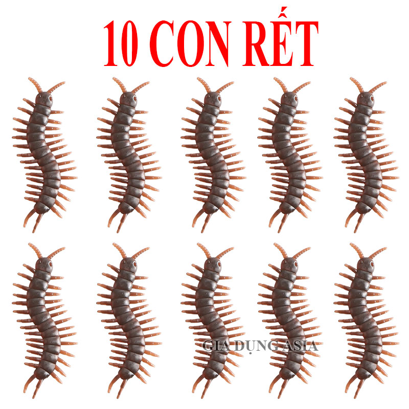 Combo 10 côn trùng gián hoặc rết - Đồ chơi mô phỏng gián bằng nhựa