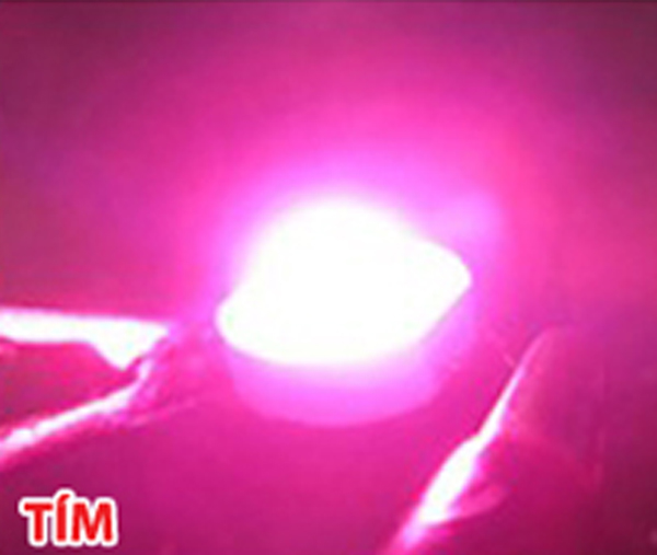 Bộ 5 bóng chip Led 3W nhiều màu sắc