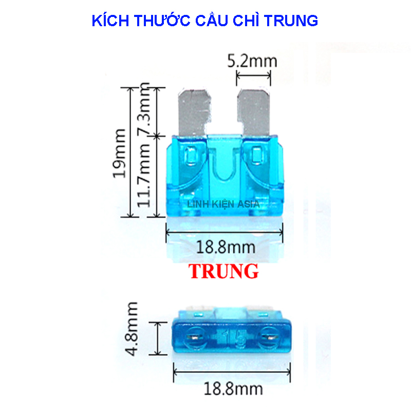 Hộp cầu chì (gắn loại cầu chì trung) có dây to đủ tải