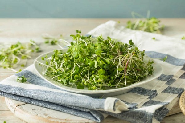 Mầm bông cải xanh giàu chất chống oxy hóa hỗ trợ sức khỏe đường ruột và giảm viêm