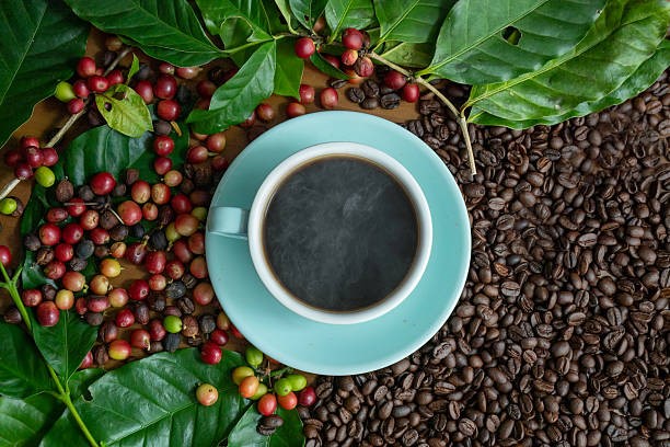 Các nhà khoa học tiết lộ một chất tăng cường sức khỏe tim mạch mạnh mẽ ẩn chứa trong những thực phẩm hàng ngày