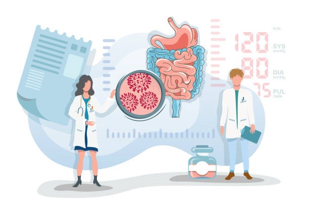 Vi khuẩn đường ruột ảnh hưởng đến quá trình lão hóa của mạch máu