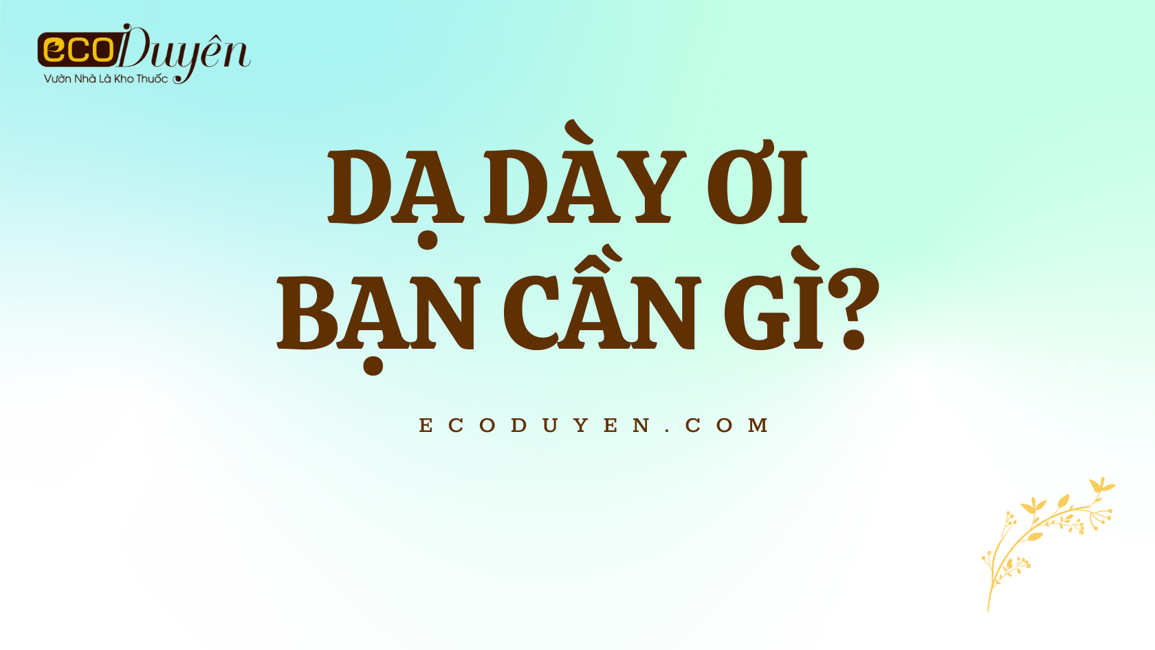 DẠ DÀY ƠI, BẠN CẦN GÌ?