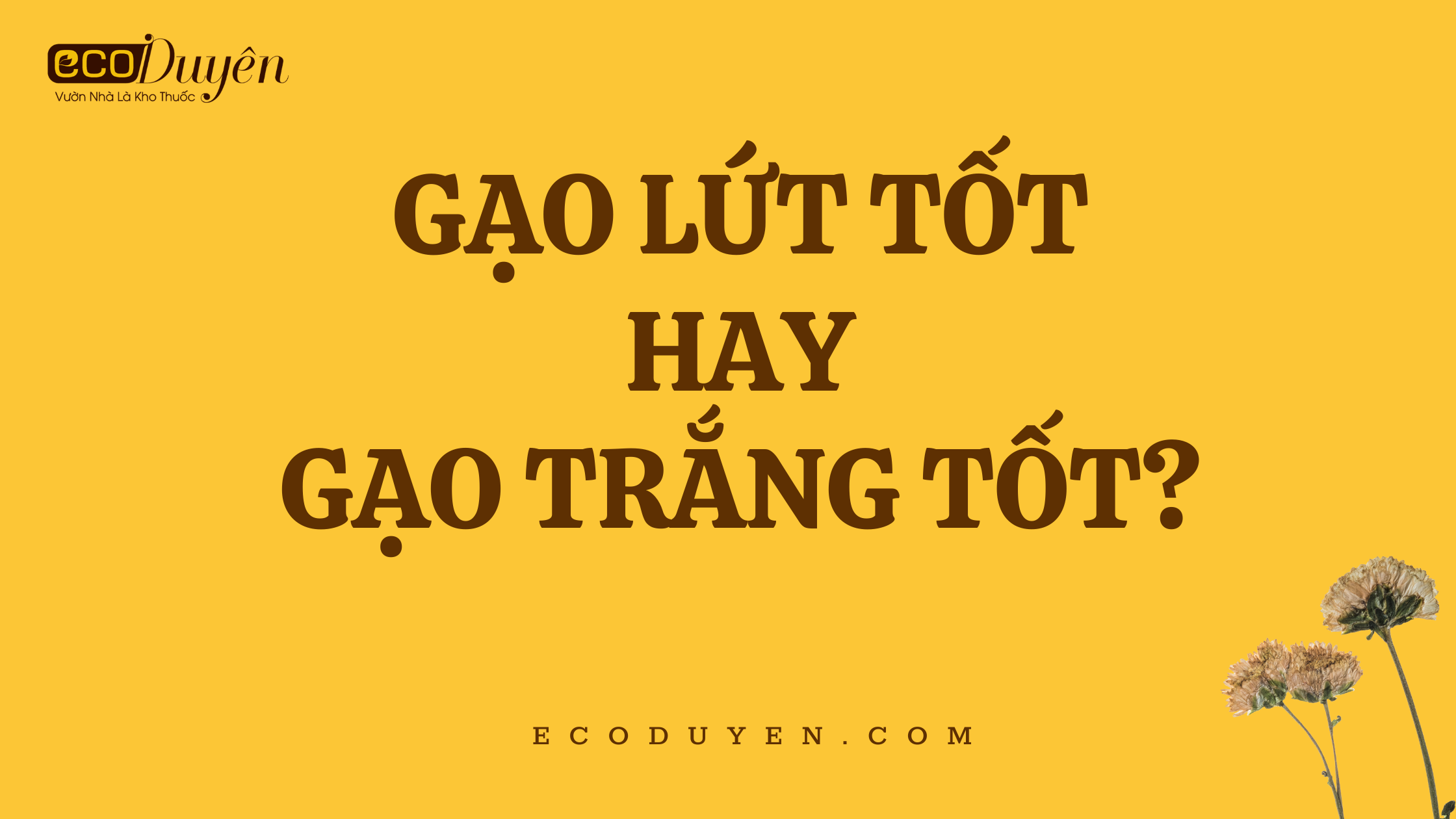 GẠO LỨT TỐT HAY GẠO TRẮNG TỐT